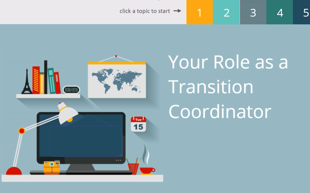 Transition Coordinator Project